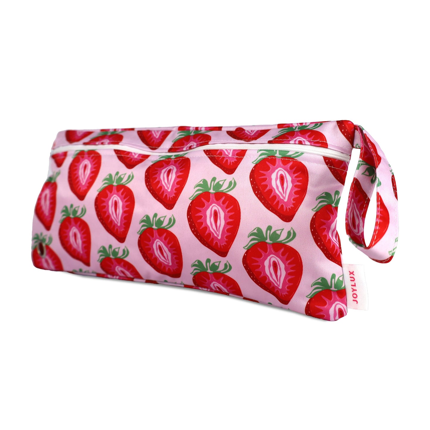Storage and Travel Bag